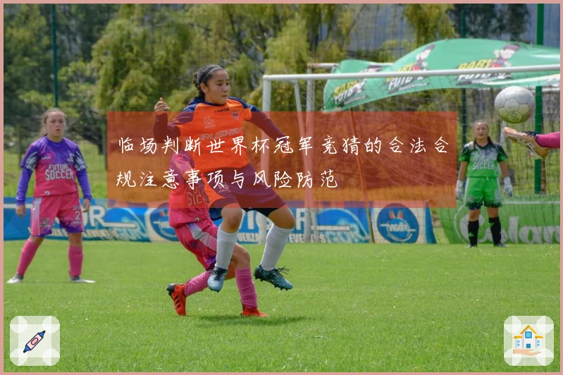 临场判断世界杯冠军竞猜的合法合规注意事项与风险防范