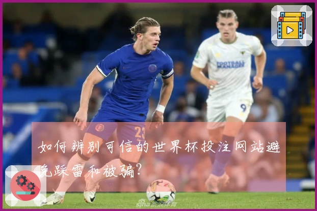 如何辨别可信的世界杯投注网站避免踩雷和被骗？
